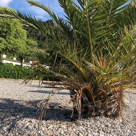Villa Sabine Apartment Losinj Medveja Exterior foto